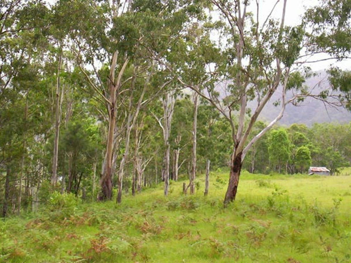 Nymboida River campground, Nymboida National Park. Photo: D Redman/NSW Government