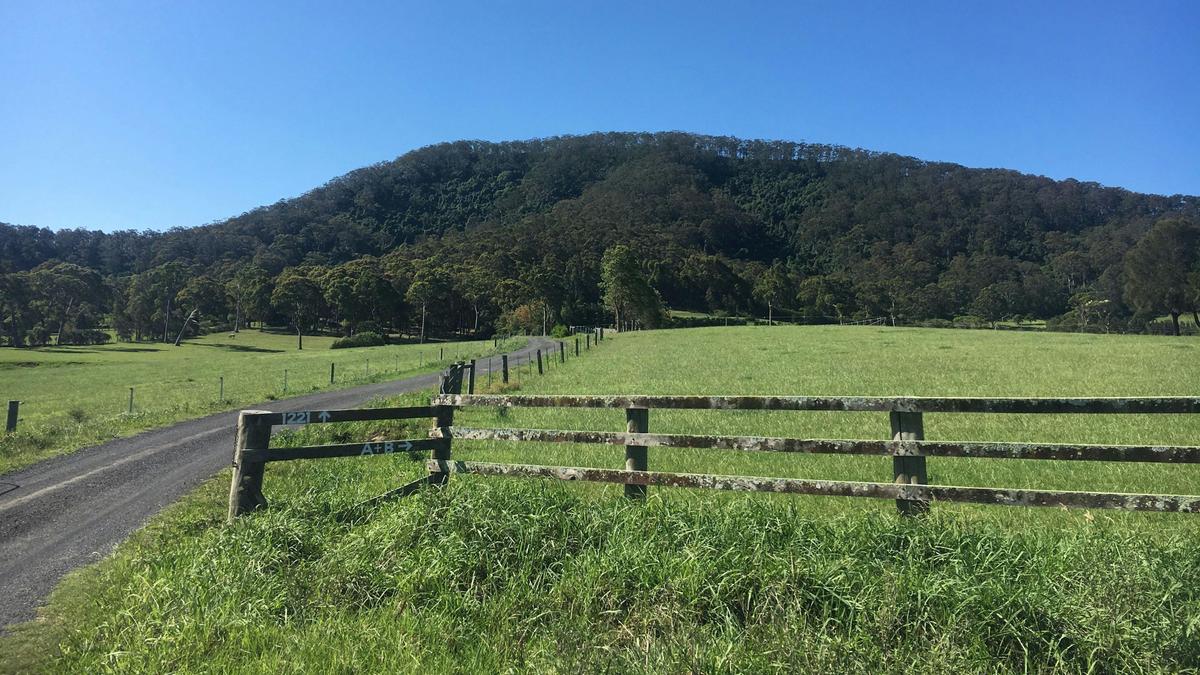 Misty Mountain Farm - Farm Stay