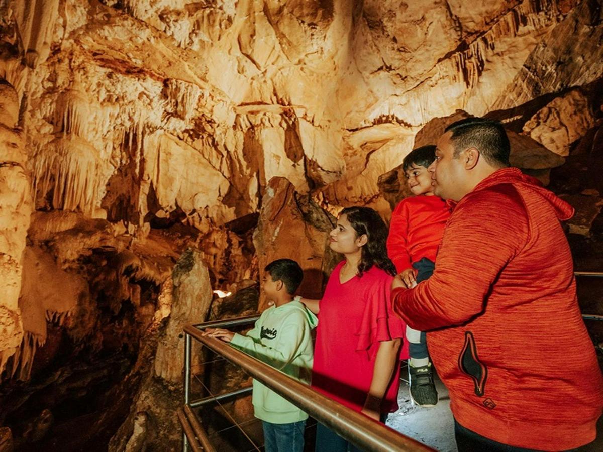 Fig Tree Cave