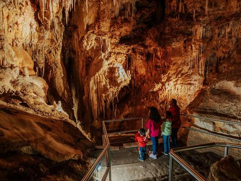 Fig Tree Cave