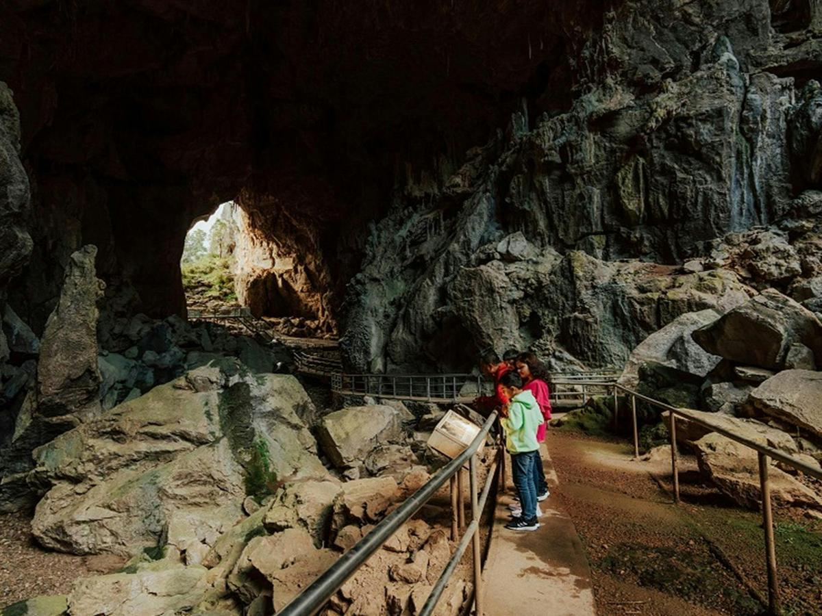 Fig Tree Cave
