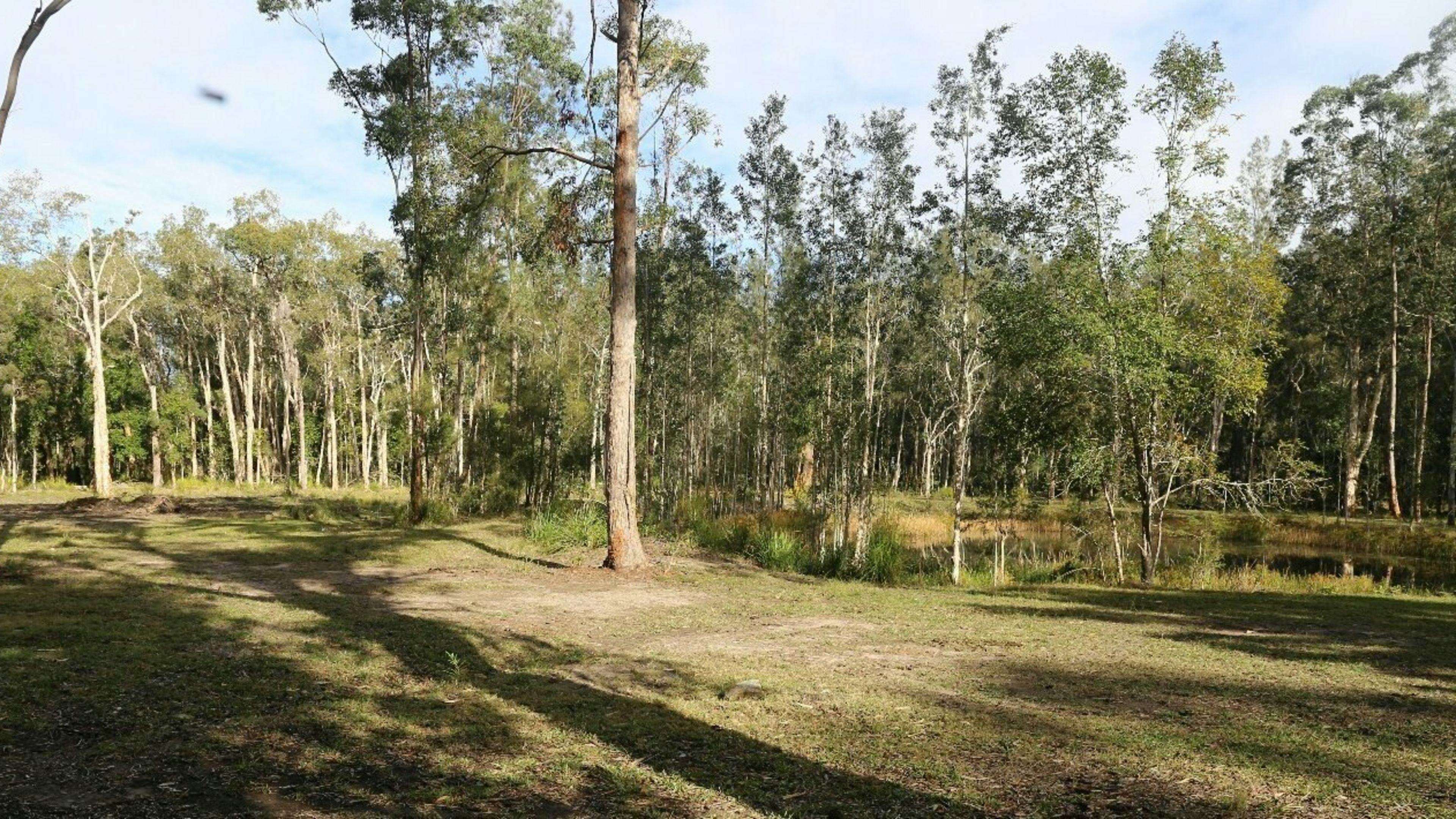 CLICK TO VIEW GALLERY