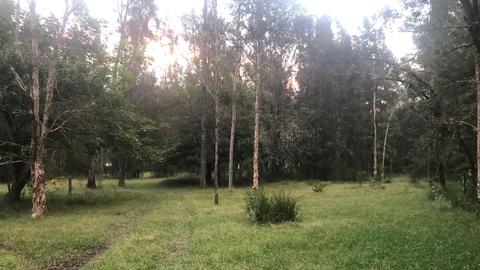 Ned's Retreat