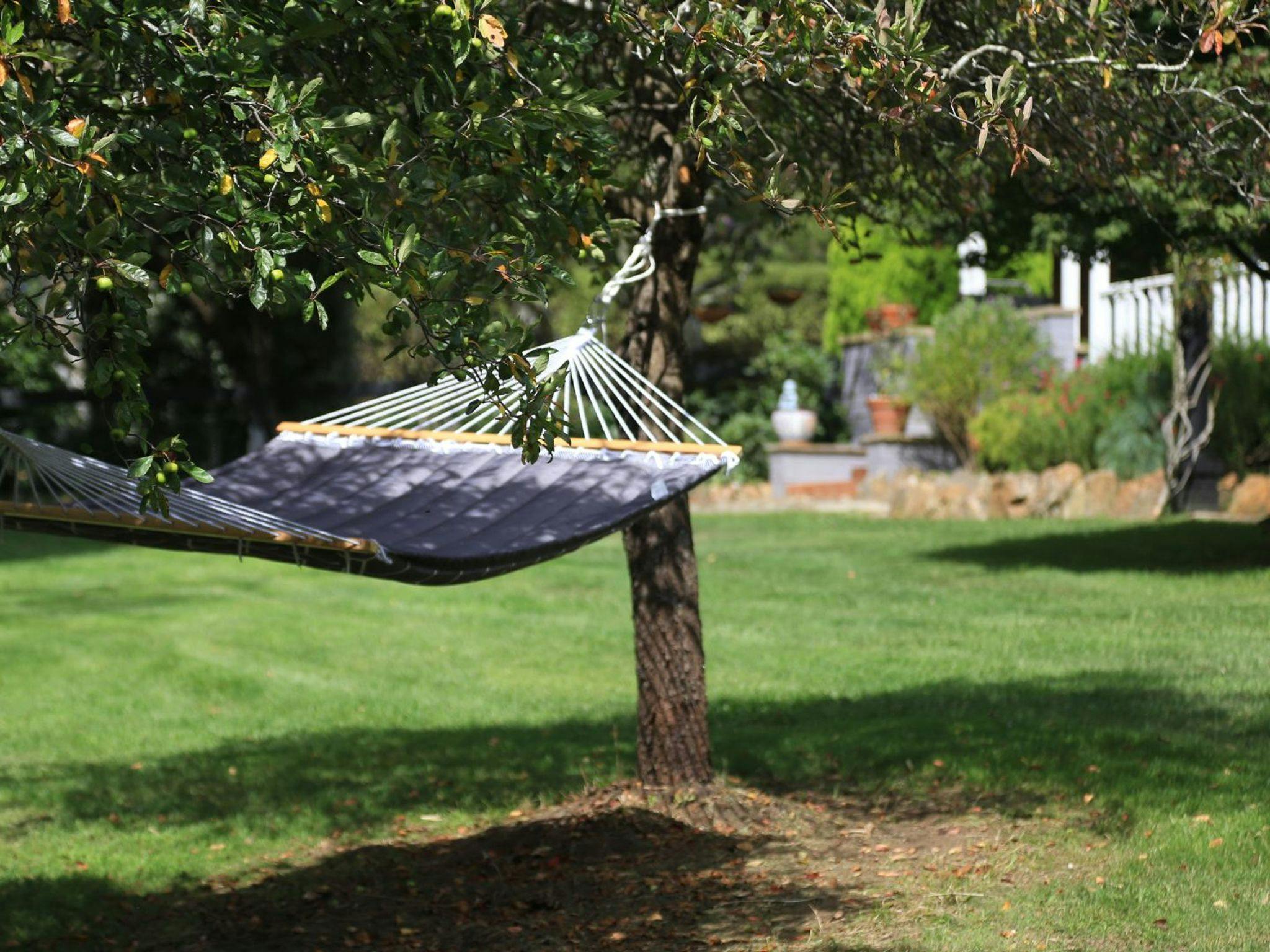 Natures Nest on Nari