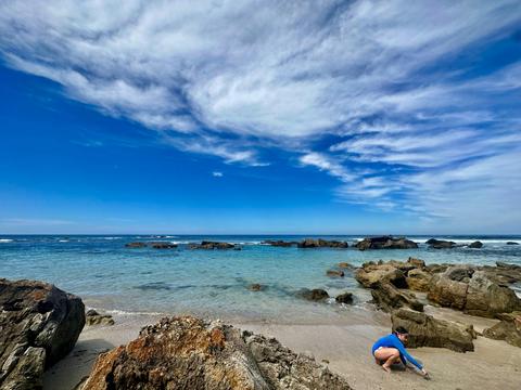 North East Mollymook