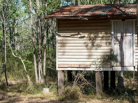 Forestry Hut