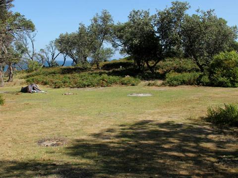 Middle Beach campground