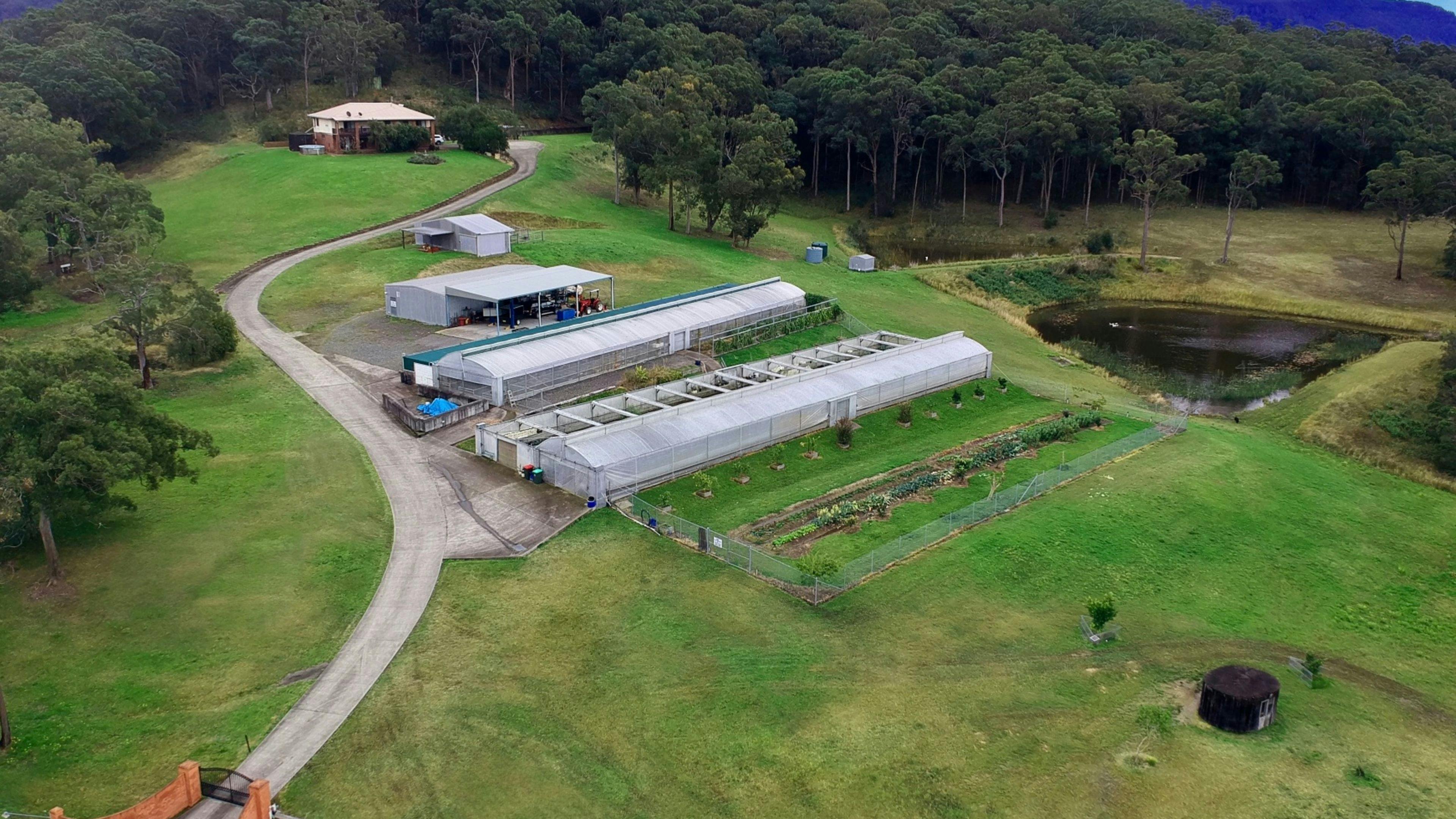 Mt Nellinda Campsites