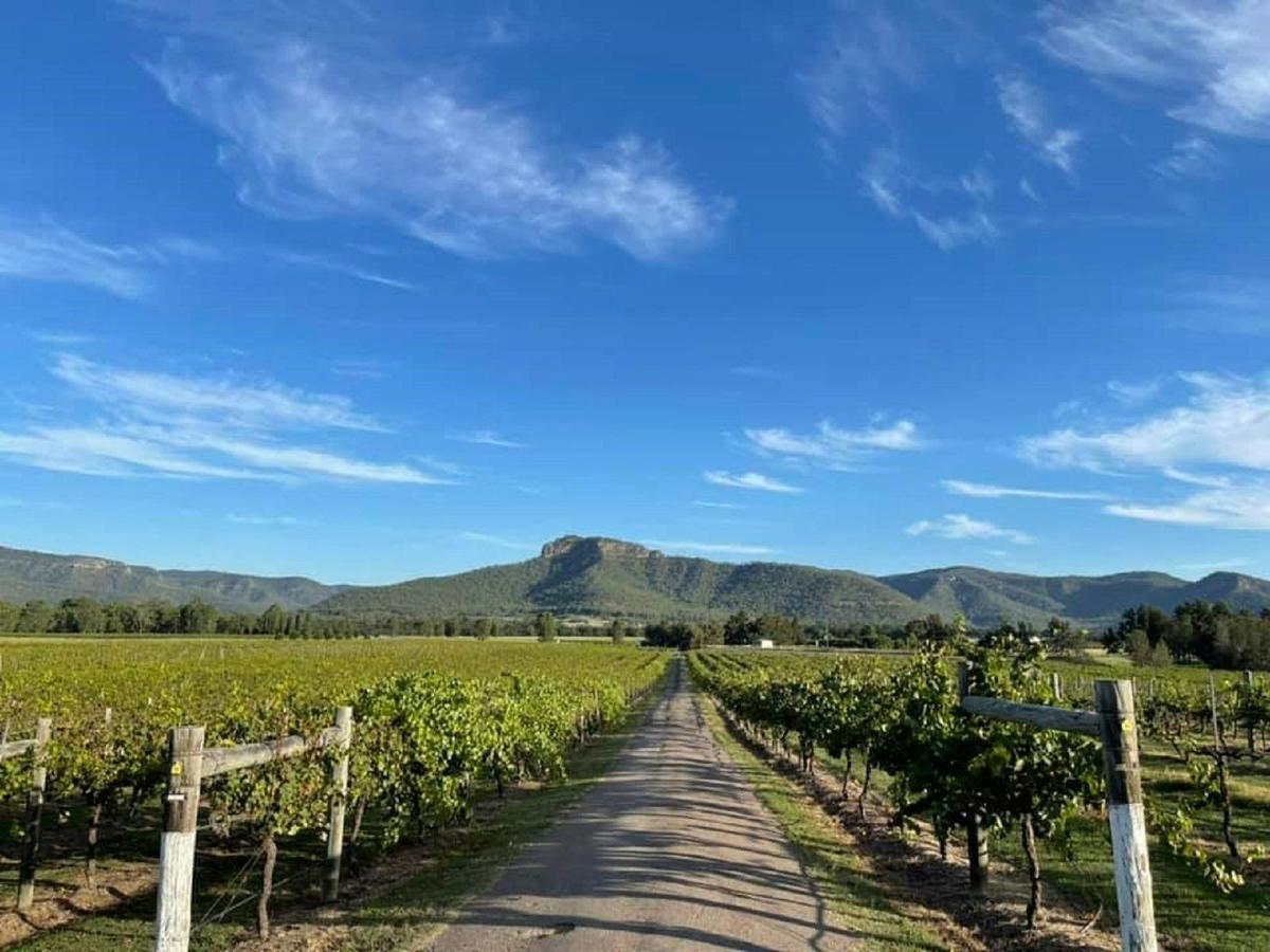 Nightingale Wines Luxury Villas