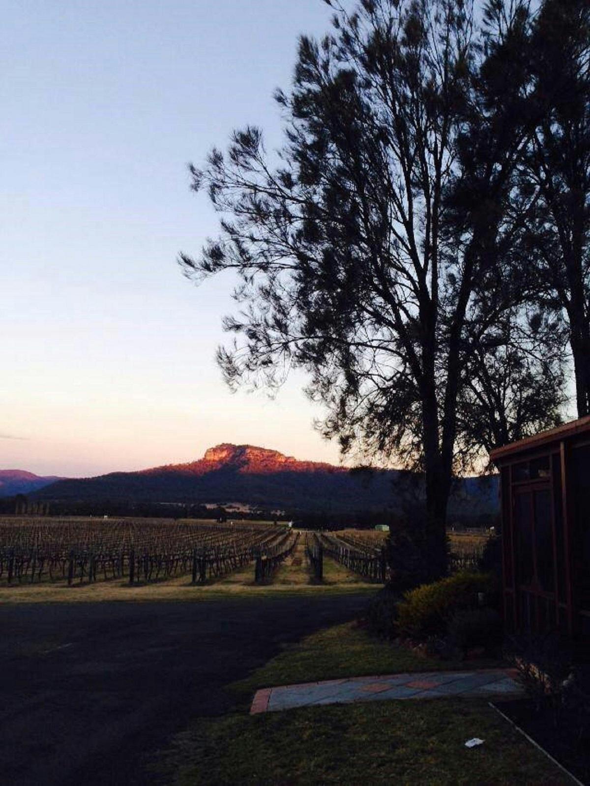 Nightingale Wines Luxury Villas