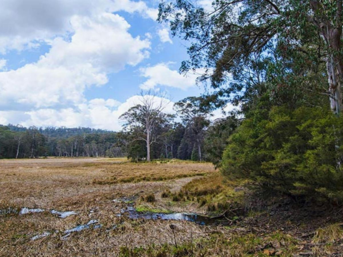 Mummel Gulf National Park, New Country Swamp. Photo: John Spencer/NSW Government