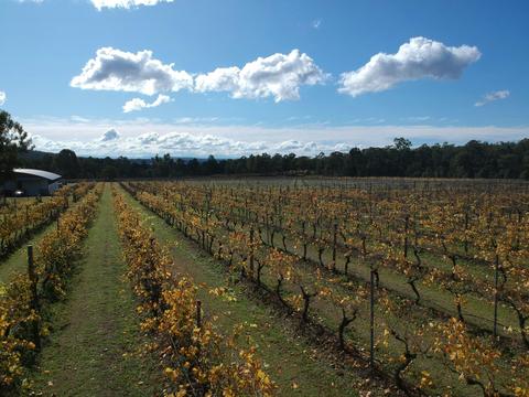 Milbrodale Farm