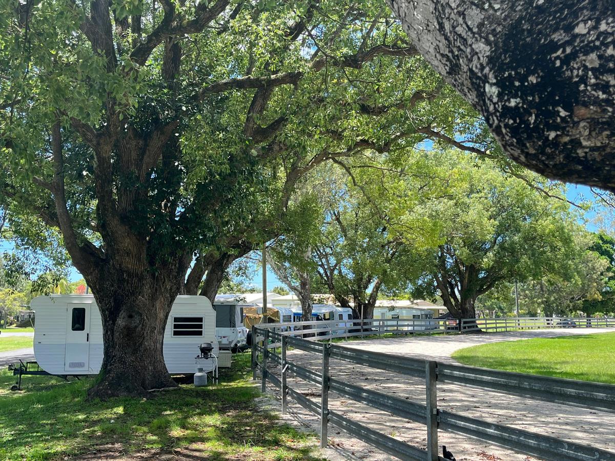 Campers nestled under the trees