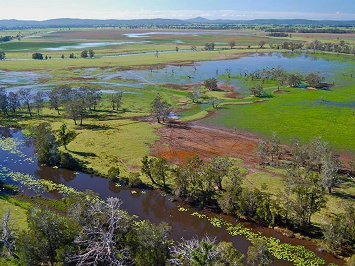 Everlasting Swamp National Park