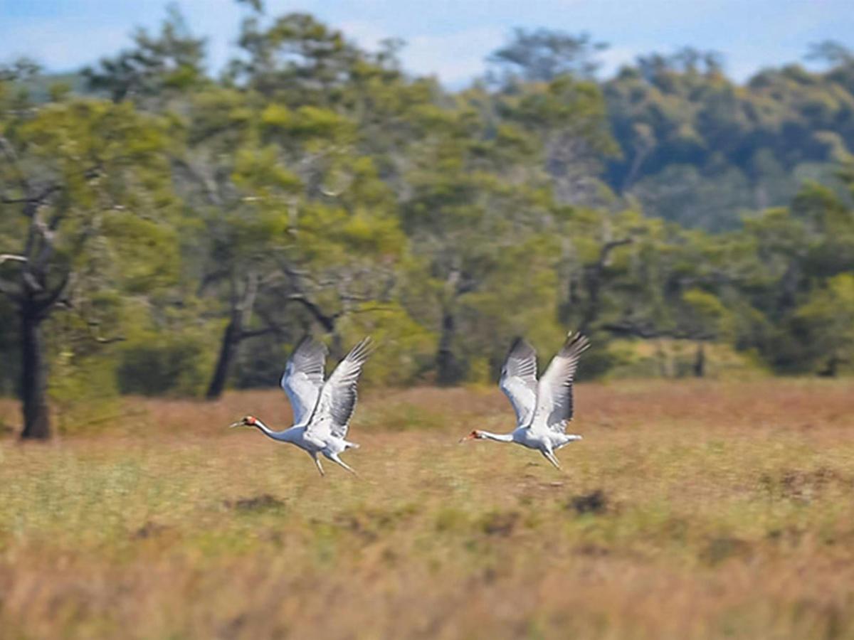 Everlasting Swamp National Park