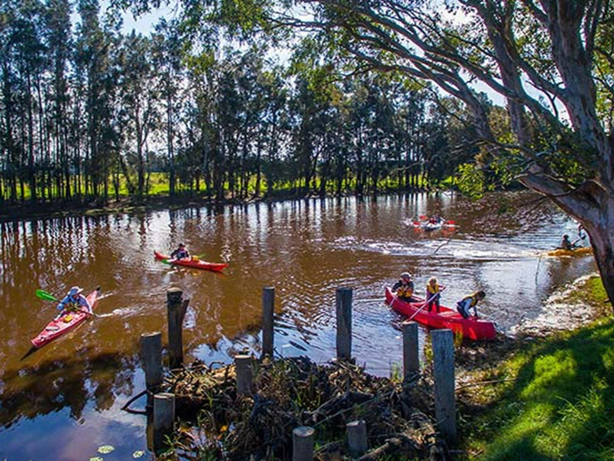 Launching canoes and kayaks from the bank of Woody Creek. Photo: Jessica Robertson/OEH