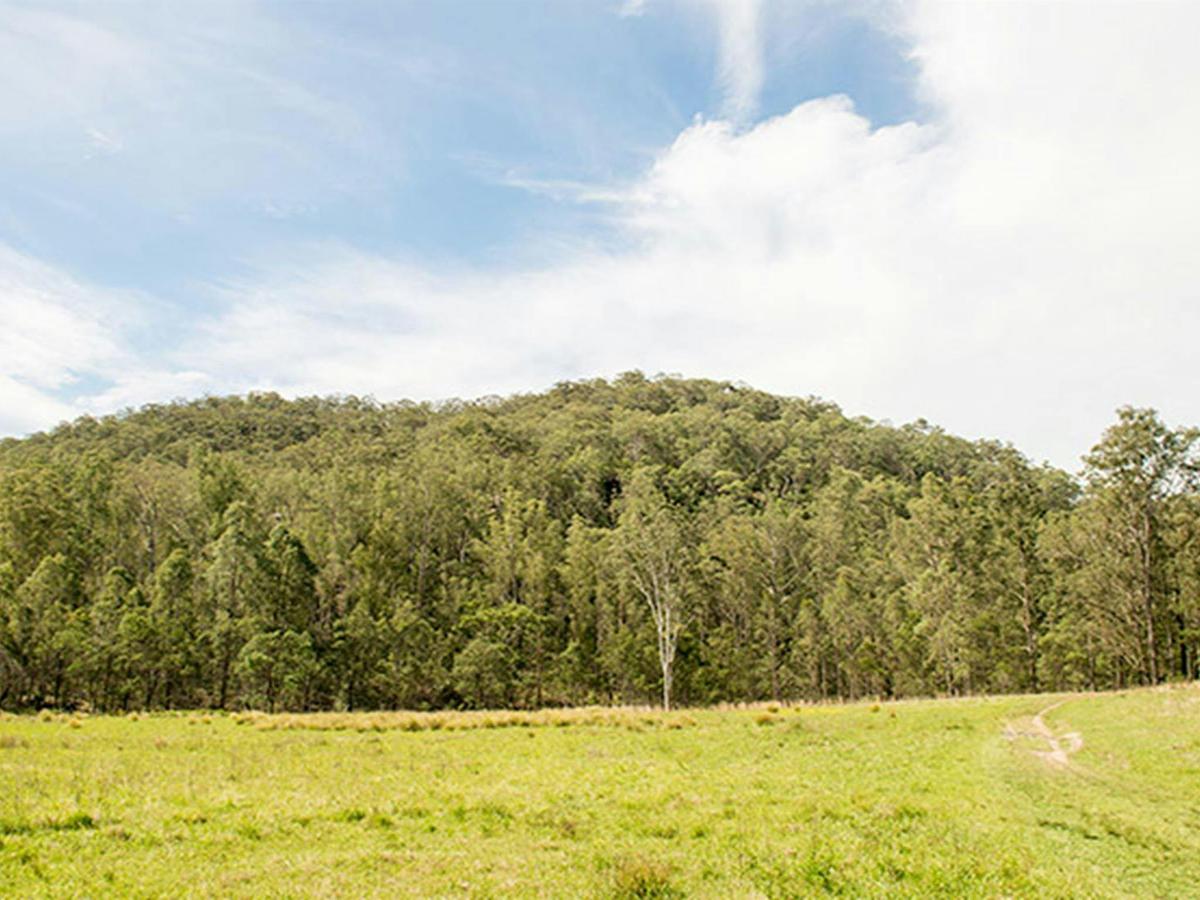 Mountain Arm campground, Yengo National Park. Photo: John Spencer/DPIE