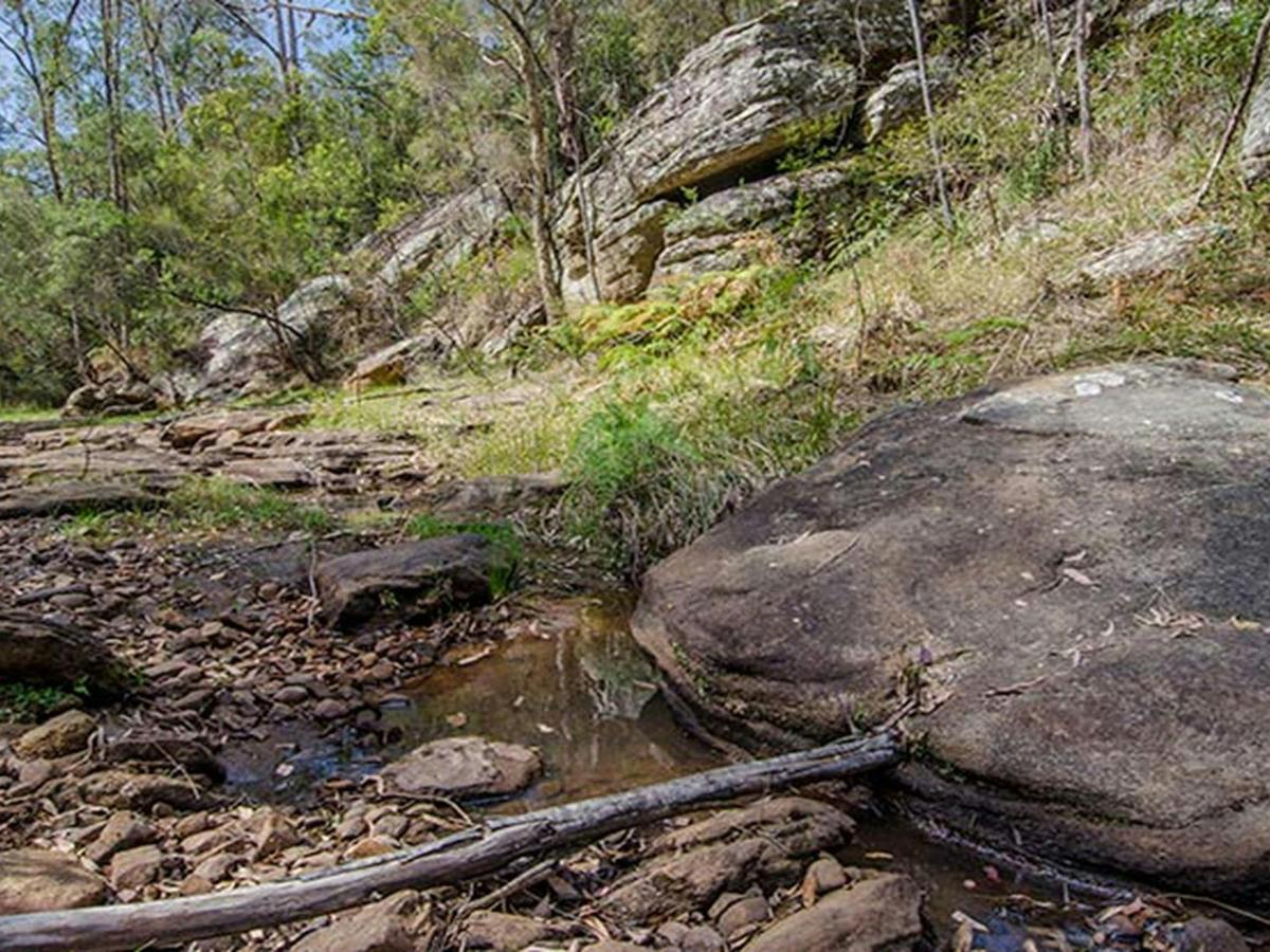 Mountain Arm campground, Yengo National Park. Photo: John Spencer/DPIE