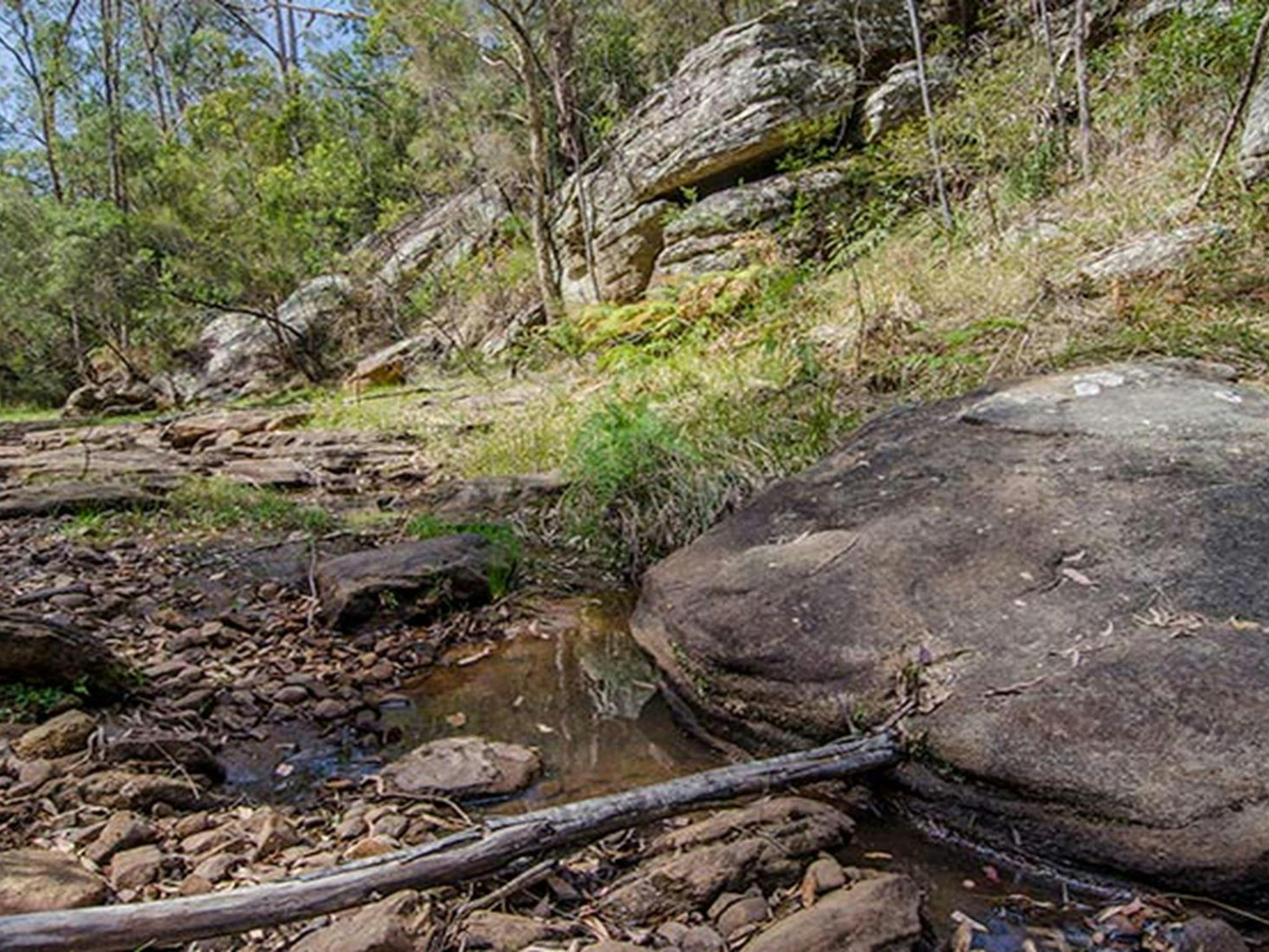 Mountain Arm campground, Yengo National Park. Photo: John Spencer/DPIE