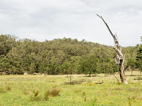 Mountain Arm campground, Yengo National Park. Photo: John Spencer/DPIE
