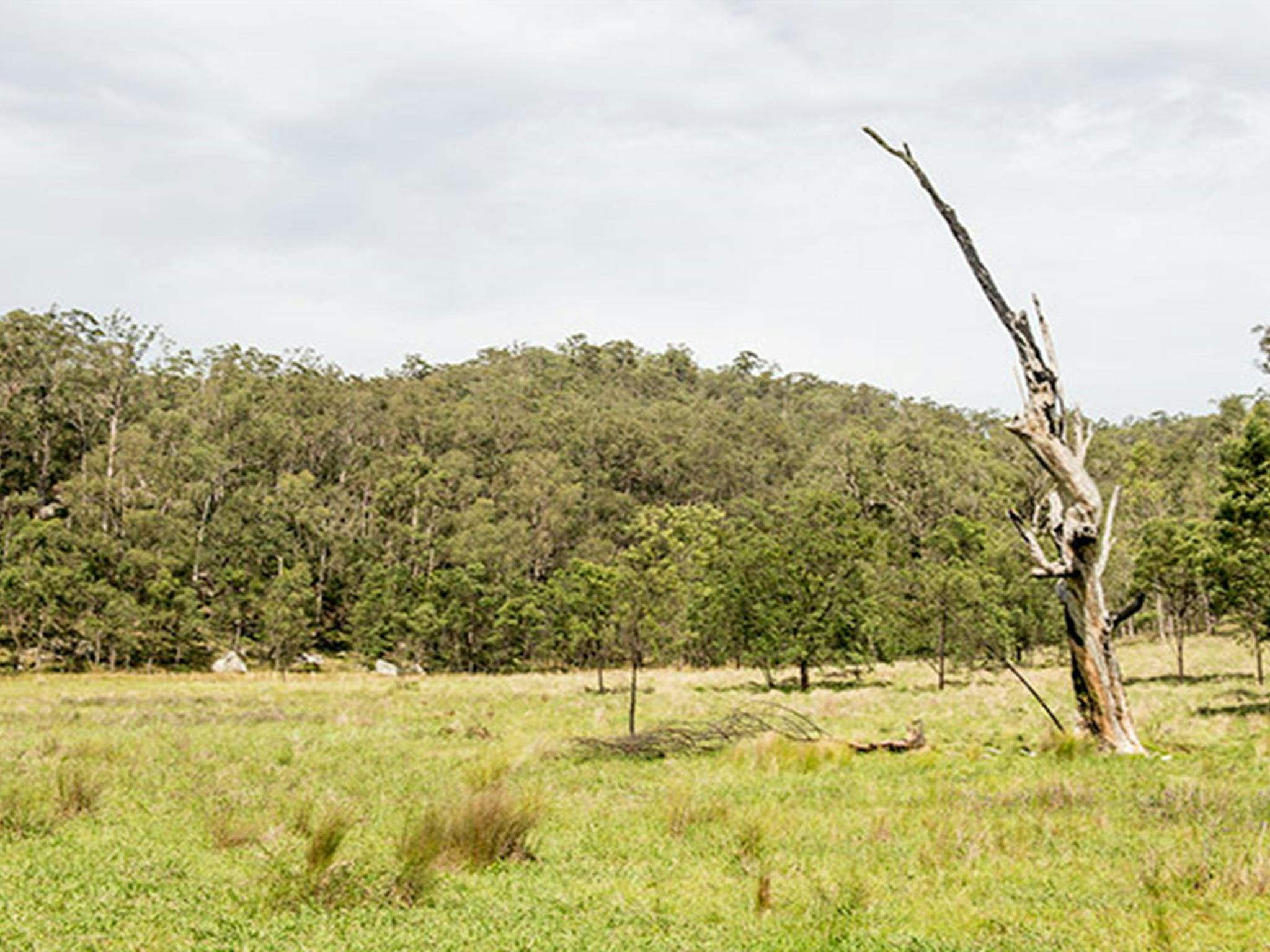 Mountain Arm campground, Yengo National Park. Photo: John Spencer/DPIE