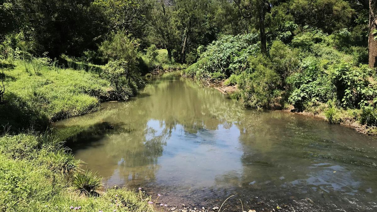 Nimbin Rocks Camping