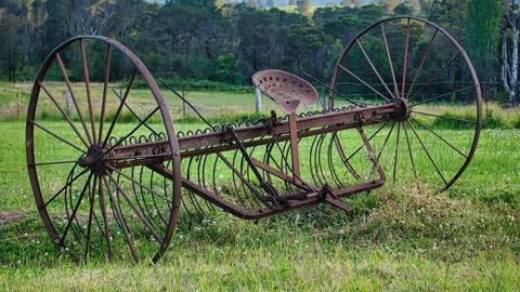 Misty Mountain Wildlife Refuge