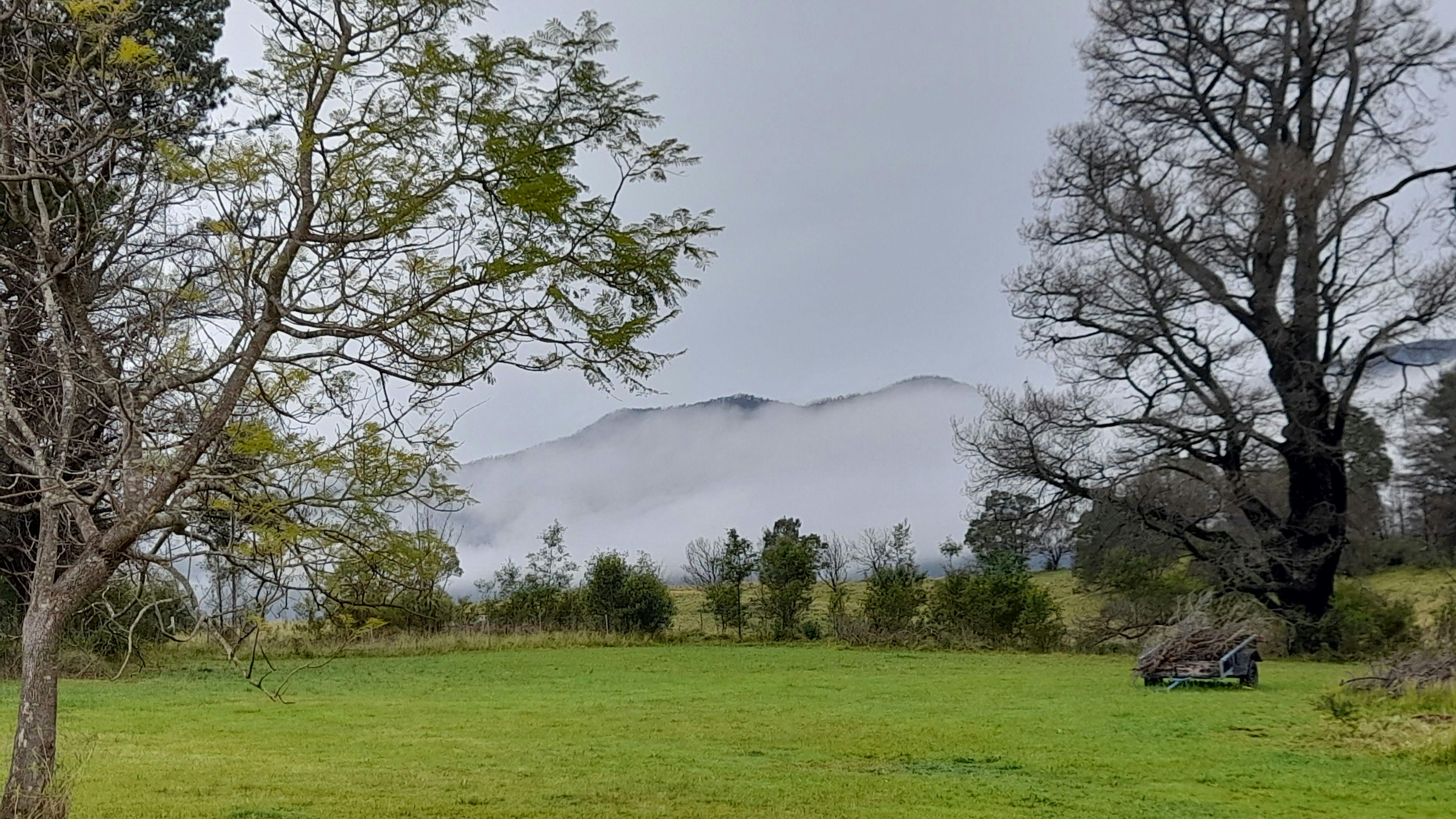 Misty Mountain Wildlife Refuge