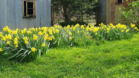 Oakleigh Farm Stay