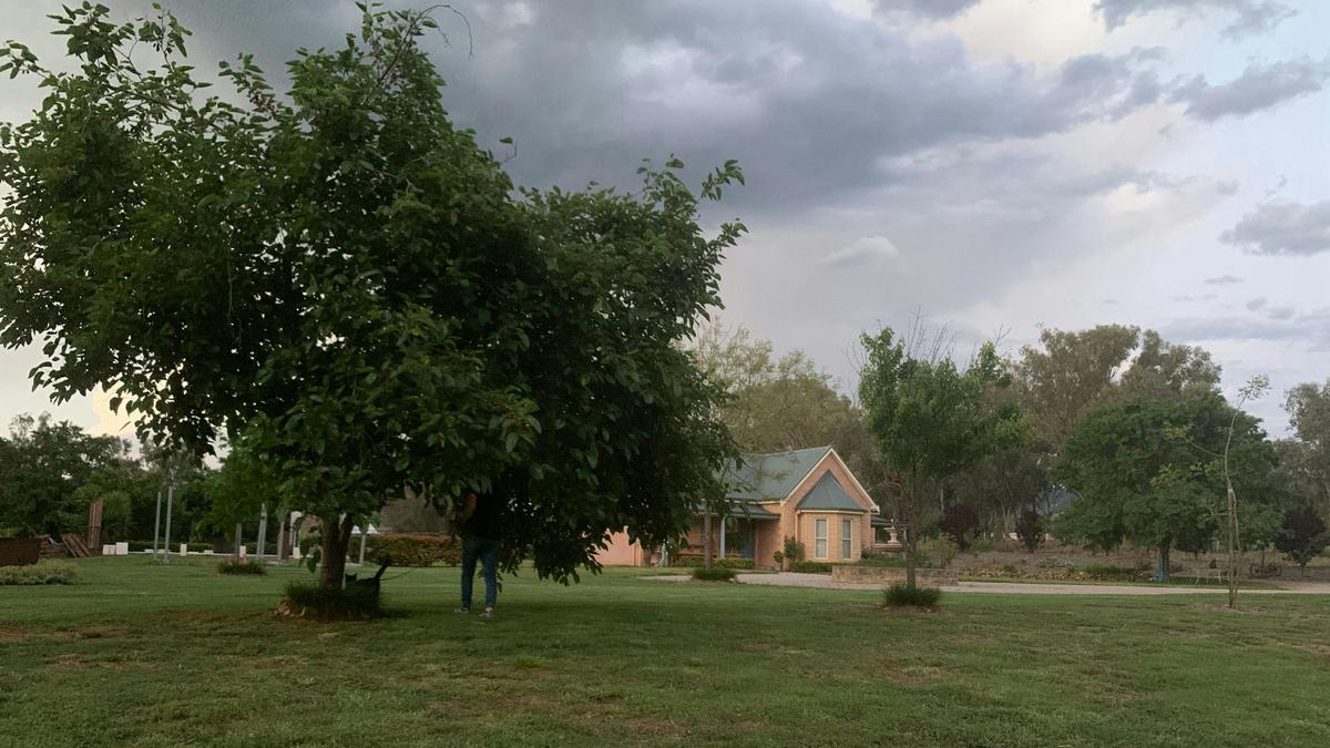 Oakey Farm