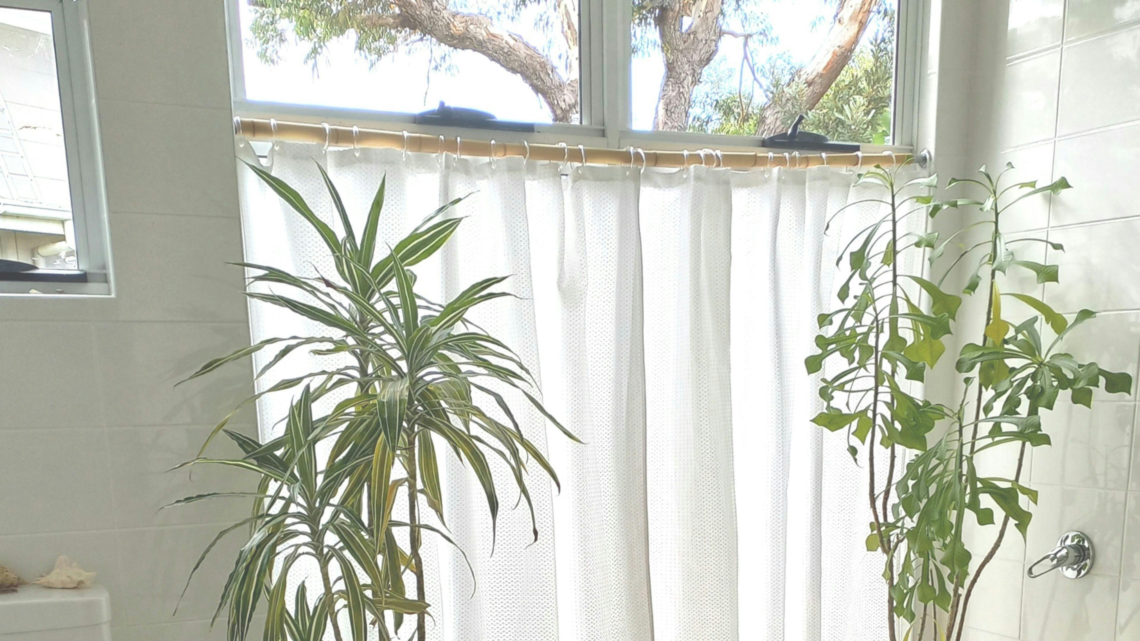 Monet's Garden Beach House