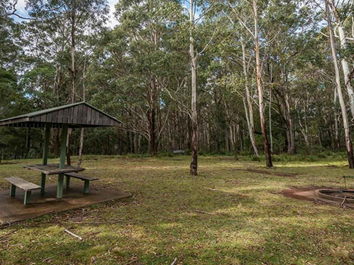 Camping beside my vehicle