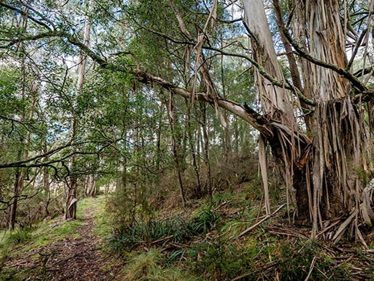 Nunnock campground
