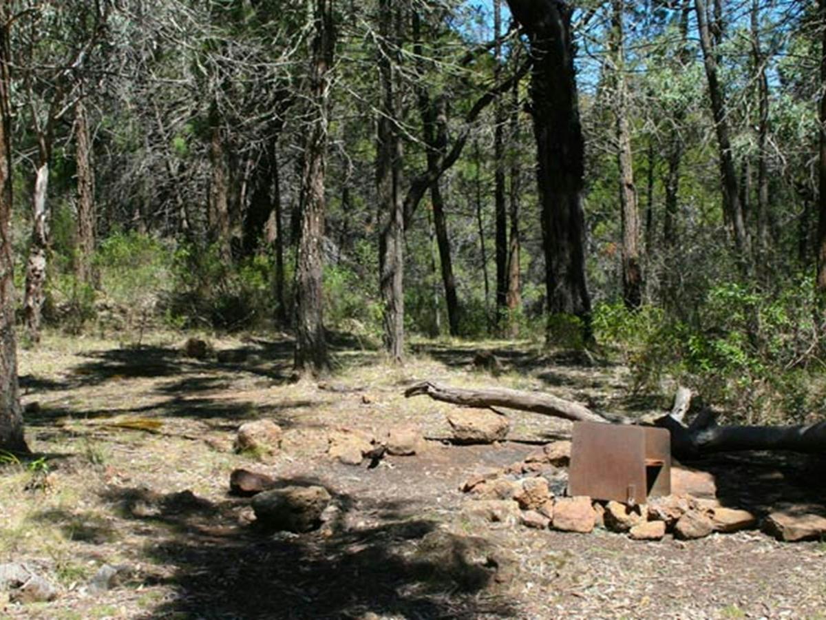 Ogma campground, Warrumbungle National Park. Photo:Dina Bullivant/NSW Government
