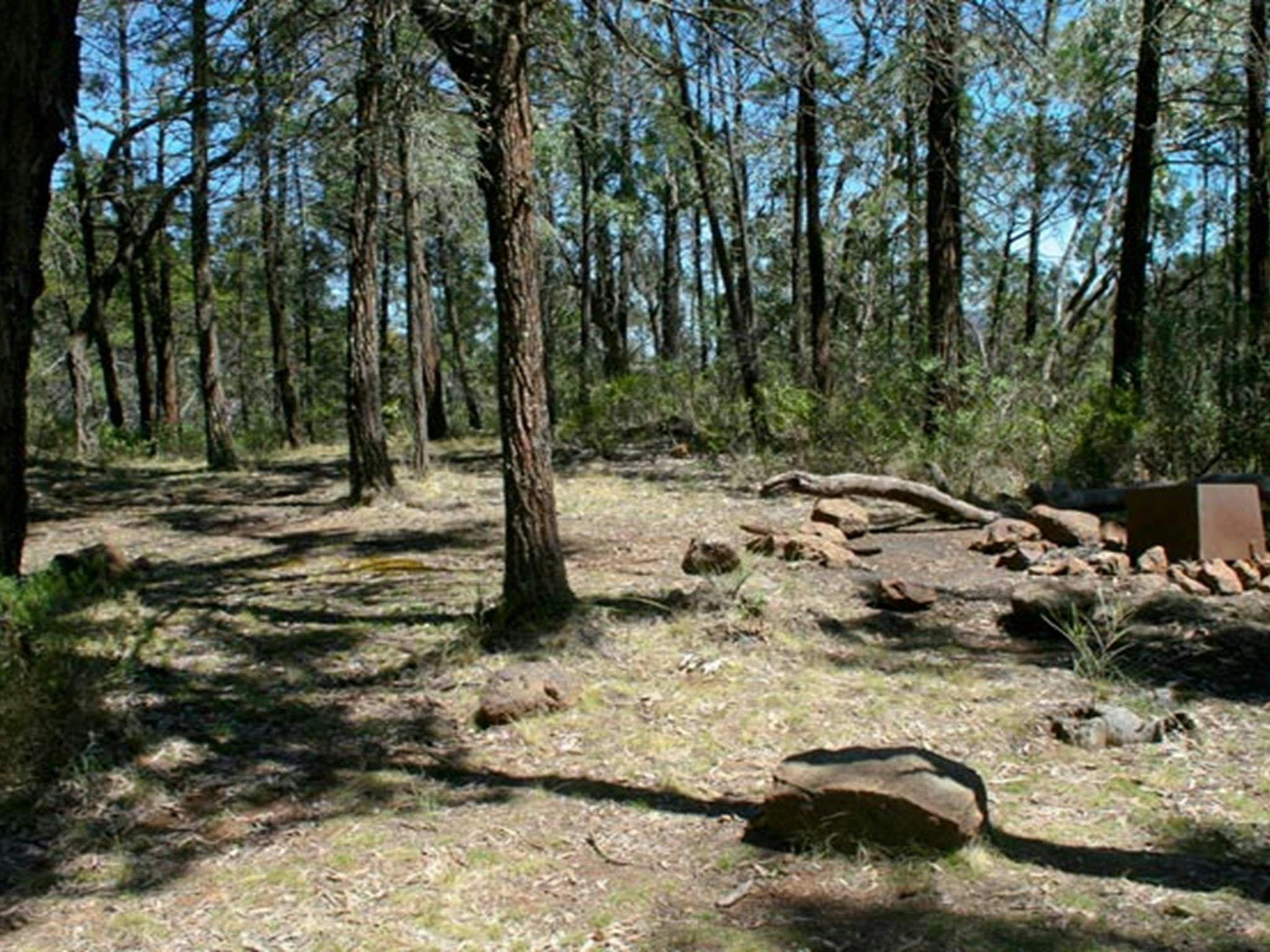 Ogma campground, Warrumbungle National Park. Photo:Dina Bullivant/NSW Government
