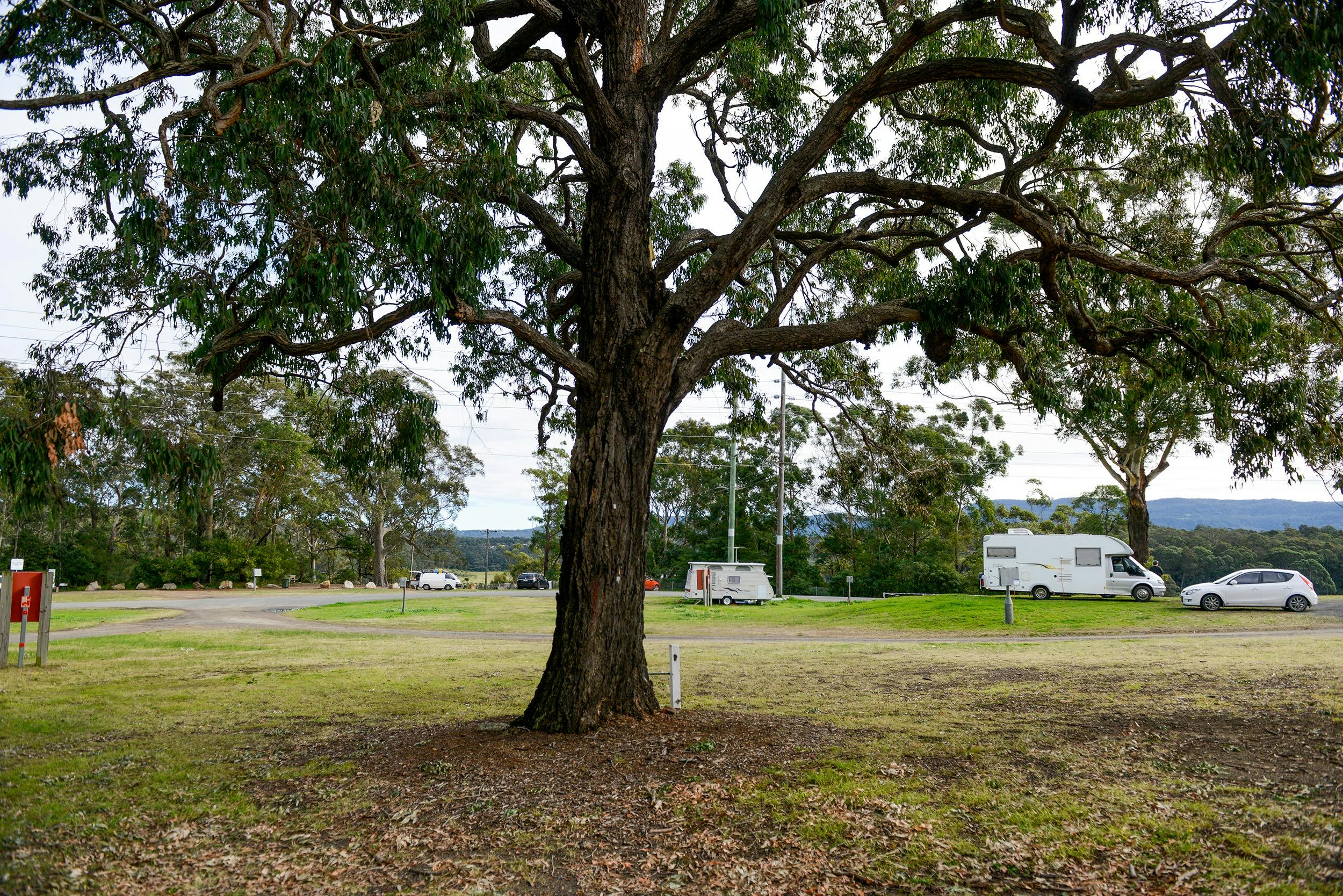 Nowra Showground