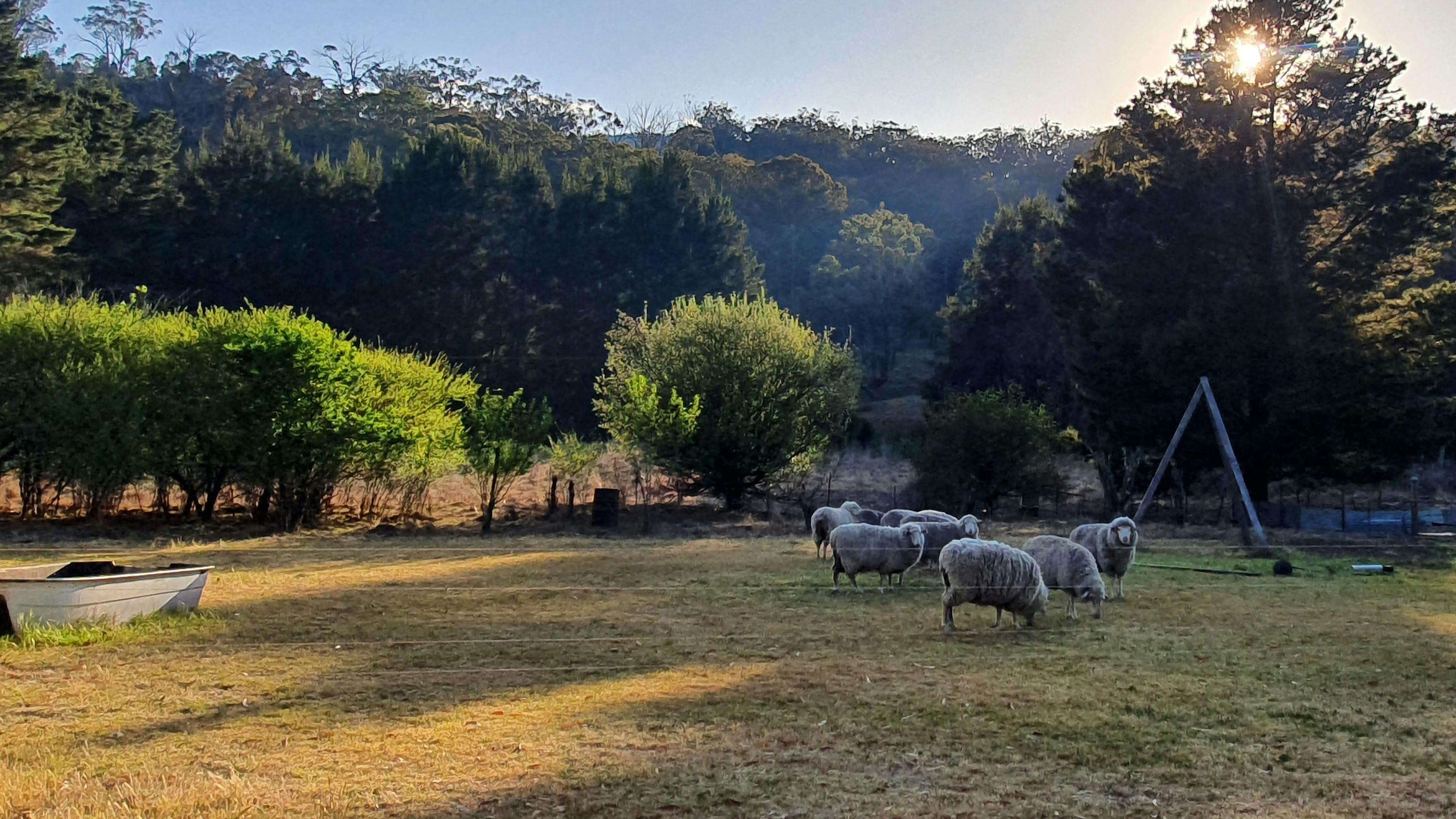 Oakenville Farm, Nundle