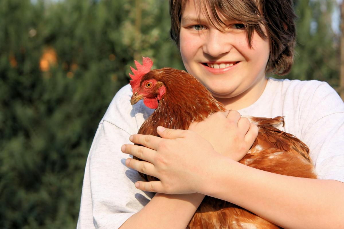 Ben meets the hens while staying at Morvern Valley Farm