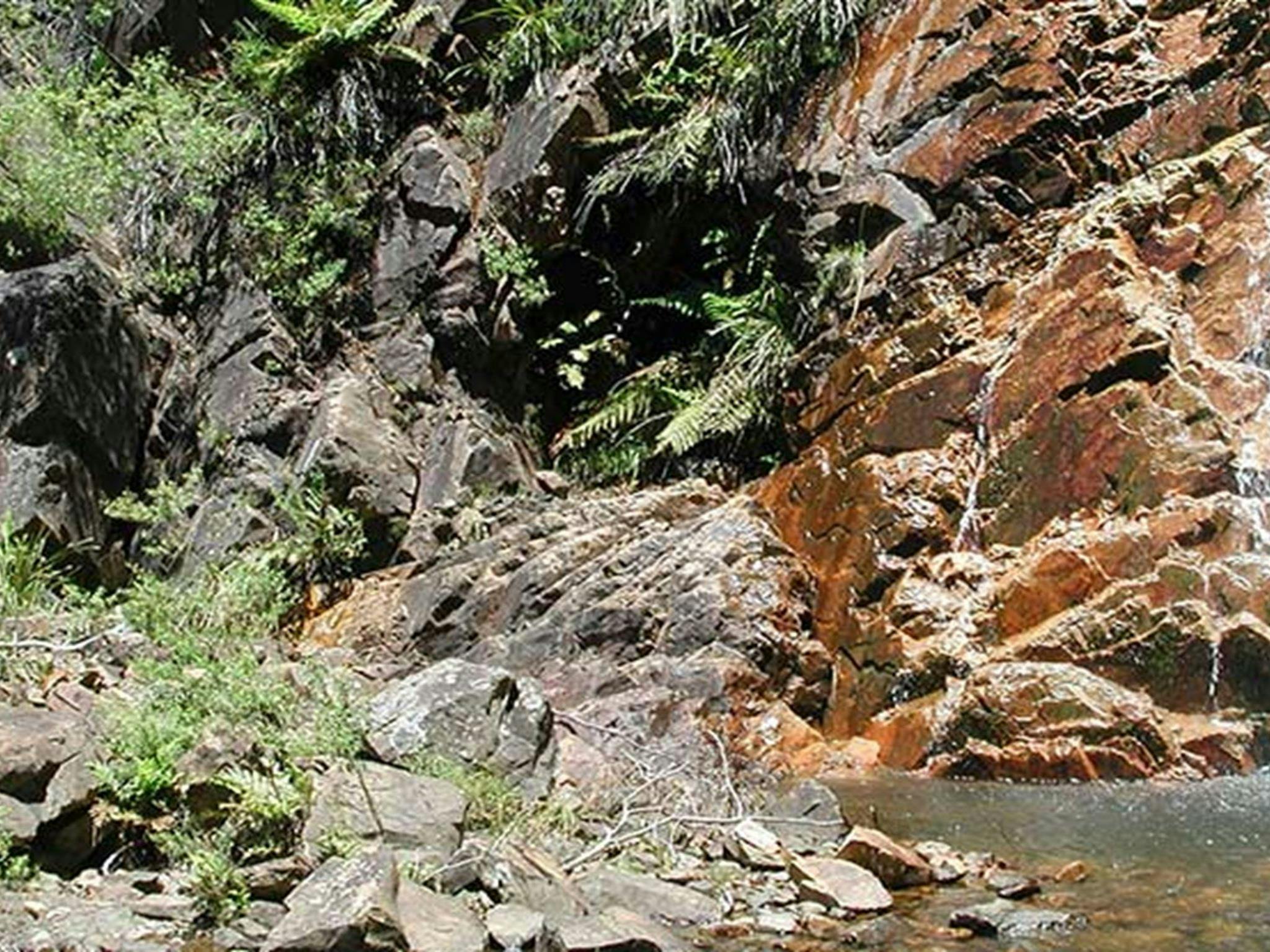 Ruby Creek Falls near Mount Werong campground, Blue Mountains National Park. Photo: Jules Bros/OEH