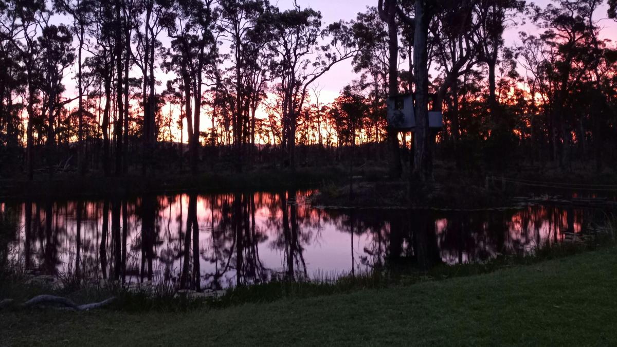 Peaceful Pond