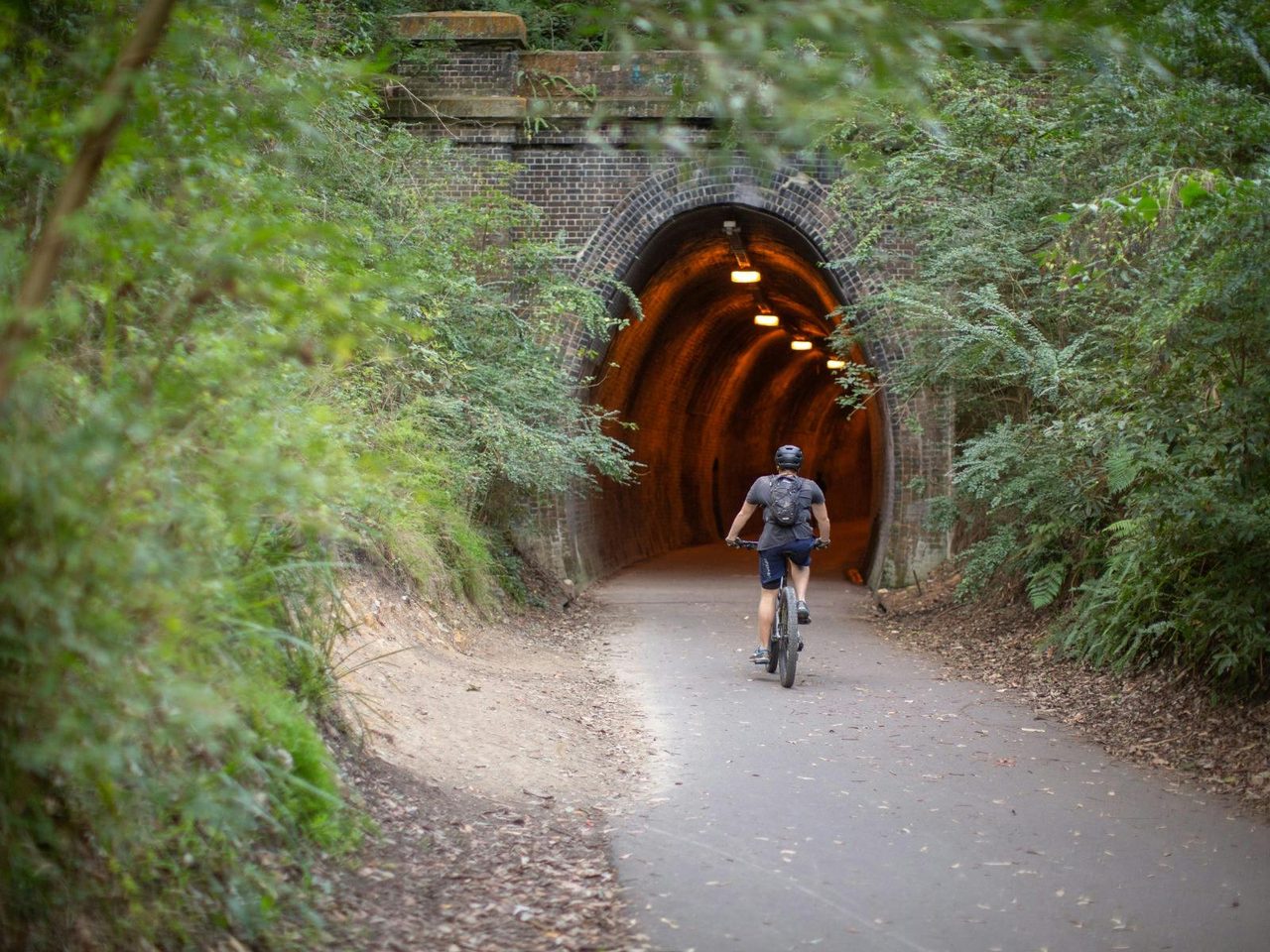 Fernleigh Track