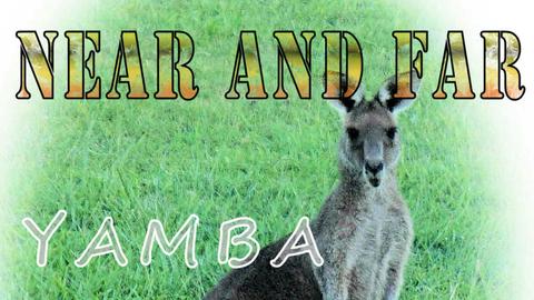 Near and Far Yamba