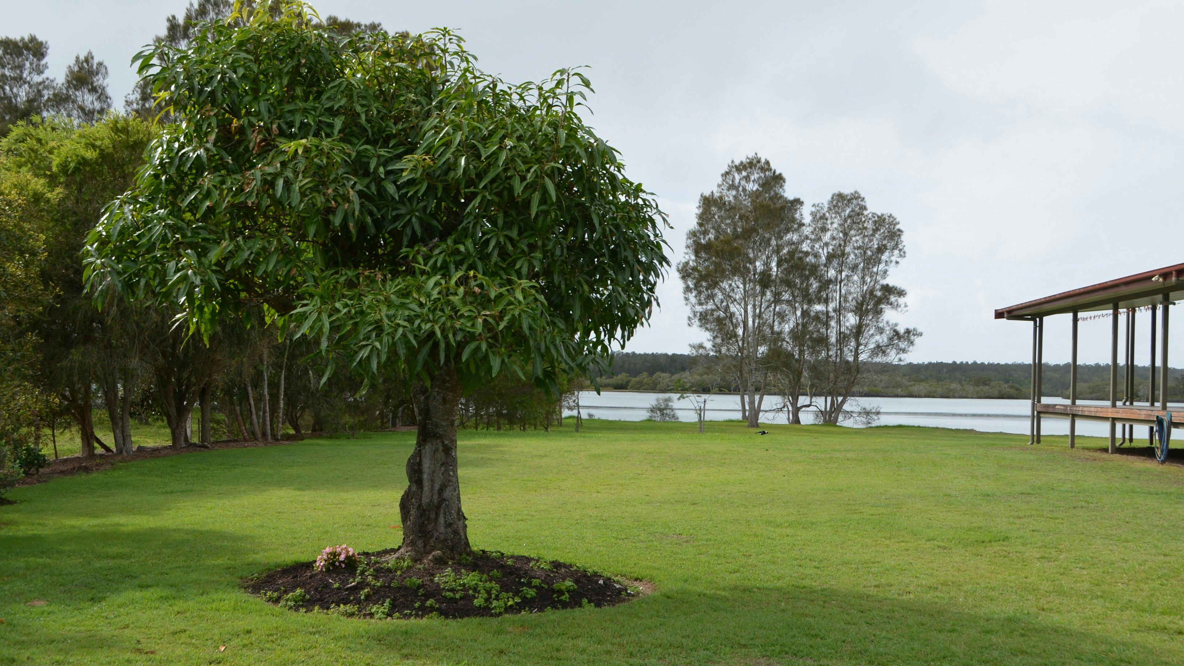 Overlooking the river, close to the homestead but mostly private. 