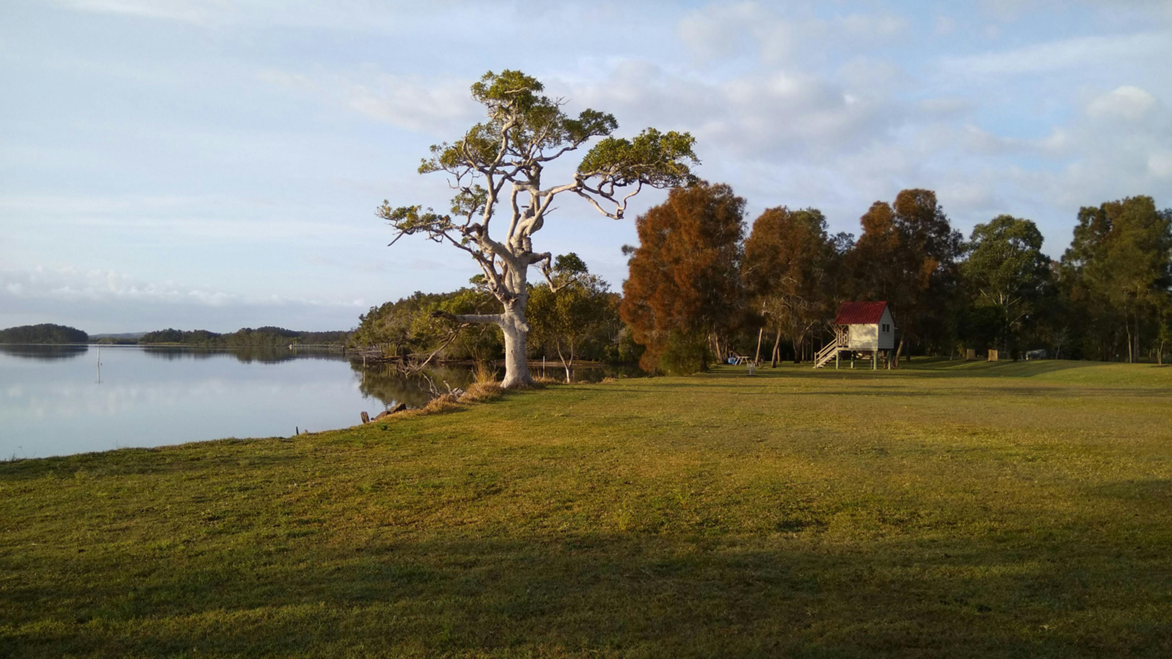 River side camping for caravan, camper or tent. Watch the tide come & go, the birds, jumping mullet, wide lawn area. Homestead nearby for facilities.
