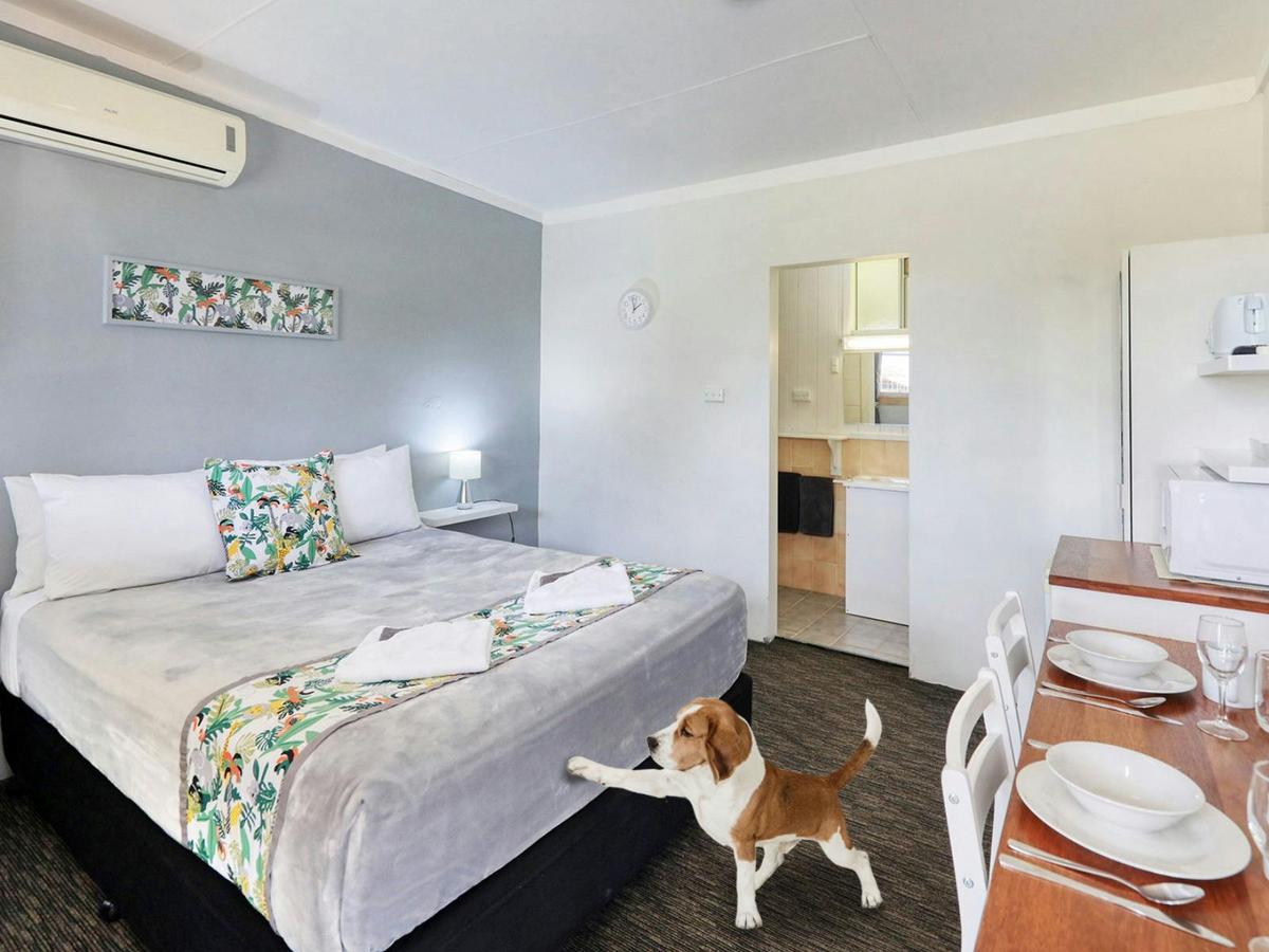 Pet Friendly Queen Room
