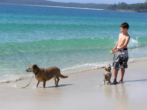 Nearby Nelsons beach - dog friendly