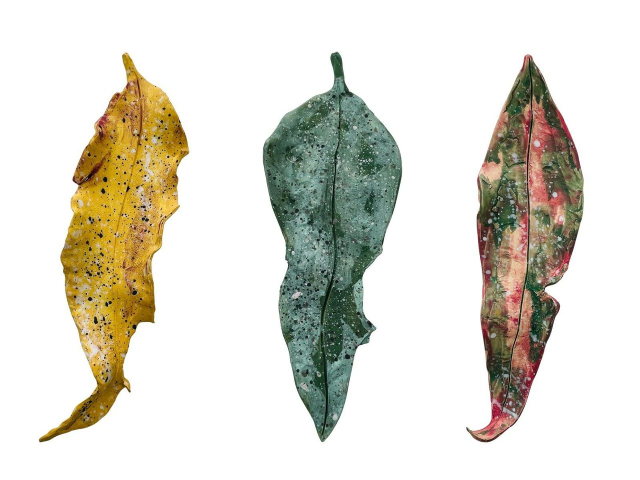 FORM: the shape of intention exhibition at The Peisley St Gallery