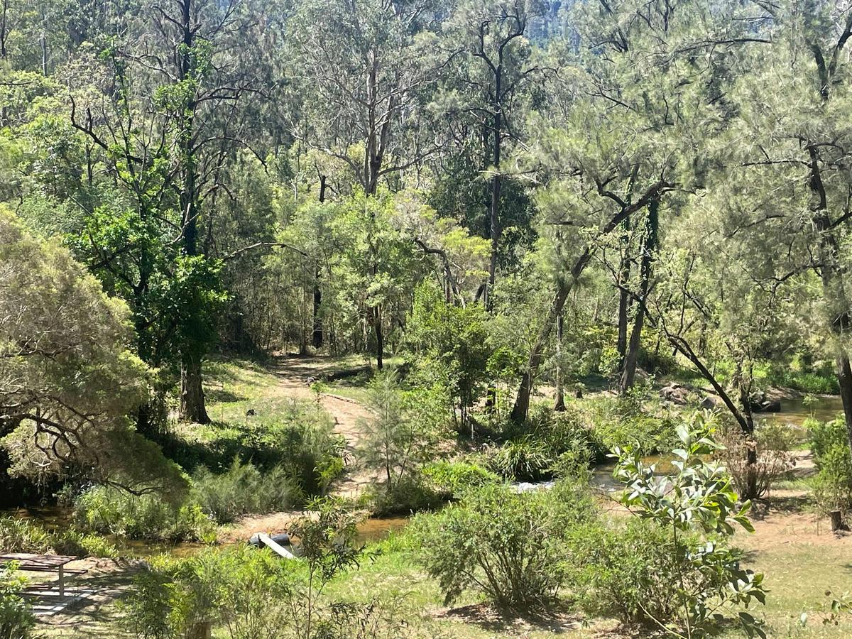 Walk the bush tucker trail along Goolang Creek