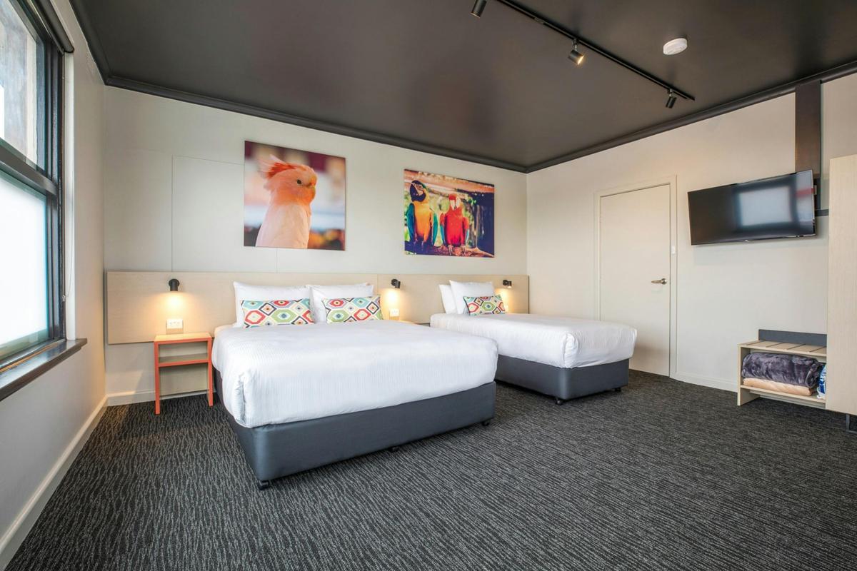 Studio Queen and Single