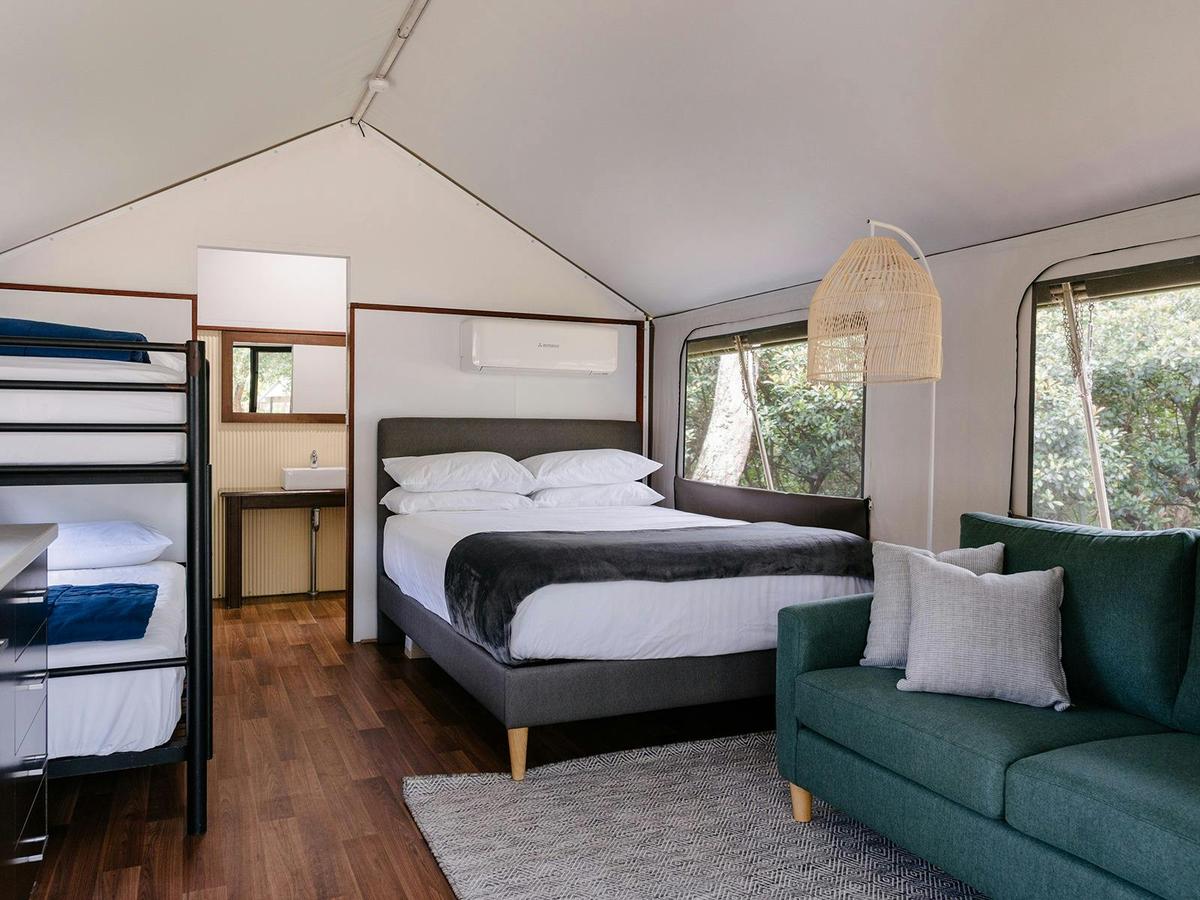 Safari Palm Tent | Whole Room